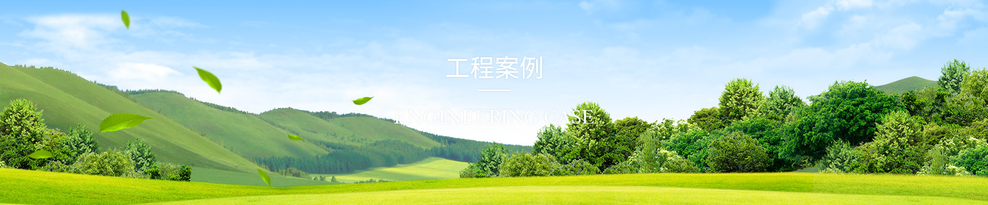 case-banner